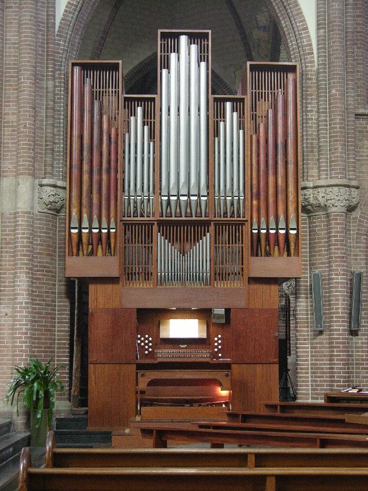 Photo: Piet Bron. Date: 25 June 2006. Photo: Piet Bron. Date: 25 June 2006.